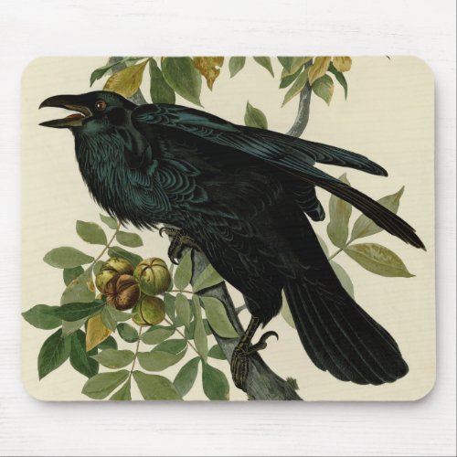 Audubon Raven Bird Classic Artwork Mouse Pad