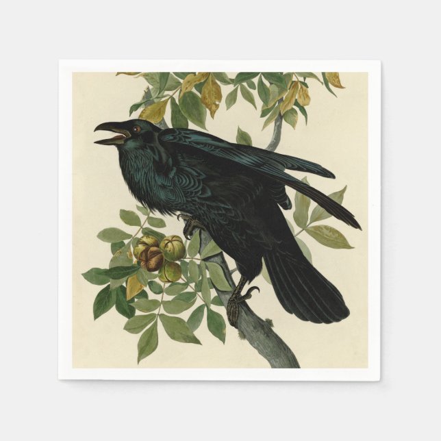 Audubon Raven Bird Classic Artwork Napkins (Front)