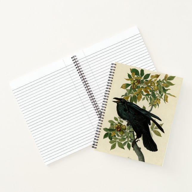 Audubon Raven Bird Classic Artwork Notebook (Inside)