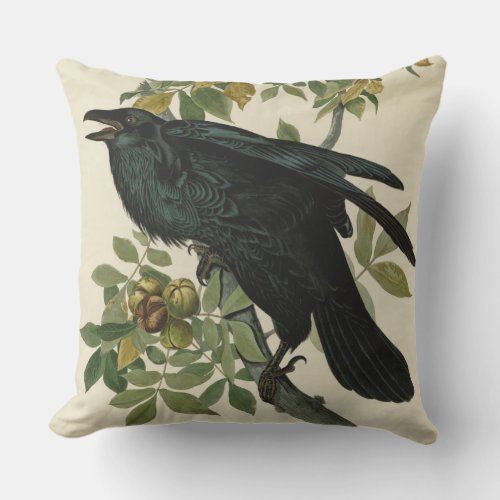 Audubon Raven Bird Classic Artwork Outdoor Pillow