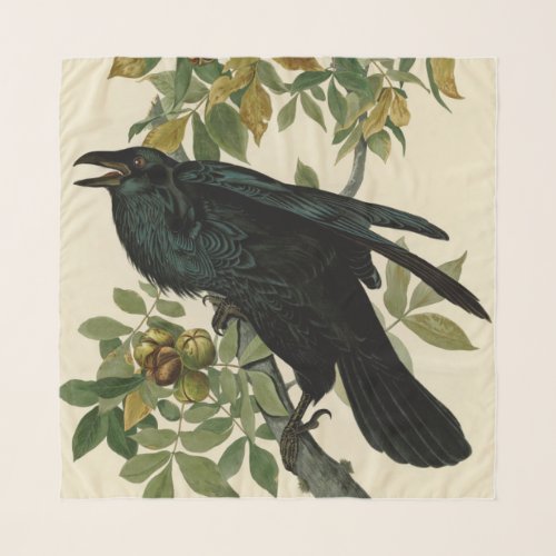 Audubon Raven Bird Classic Artwork Scarf