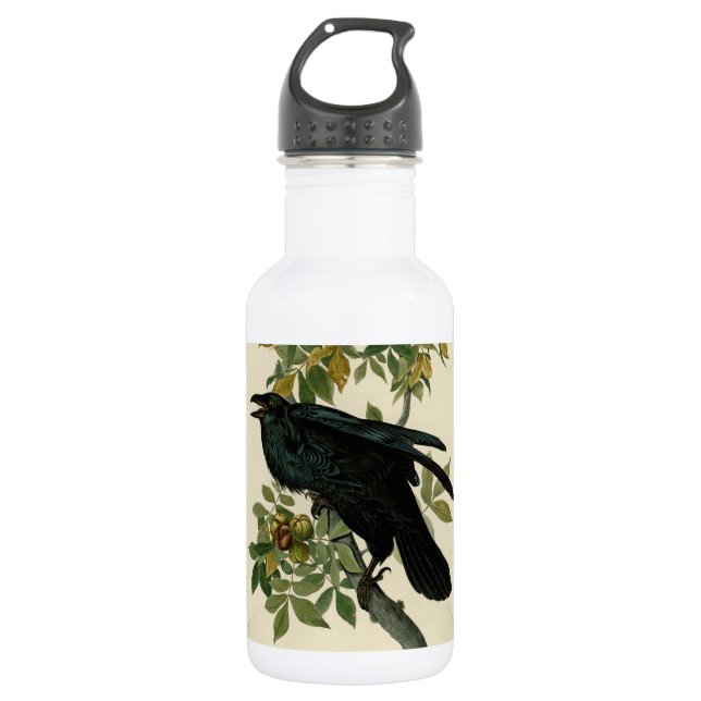 Audubon Raven Bird Classic Artwork Stainless Steel Water Bottle (Front)