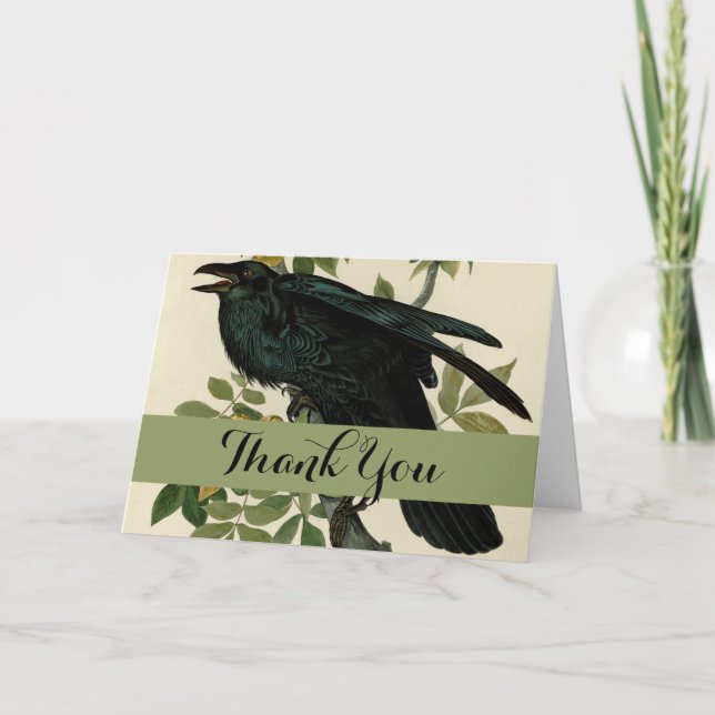 Audubon Raven Bird Classic Artwork Thank You Card (Front)