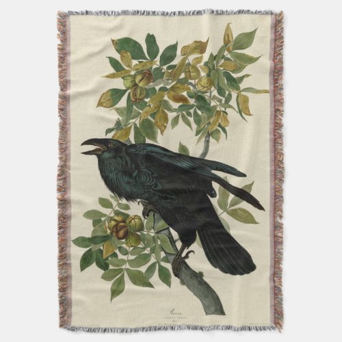 Audubon Raven Bird Classic Artwork Throw Blanket