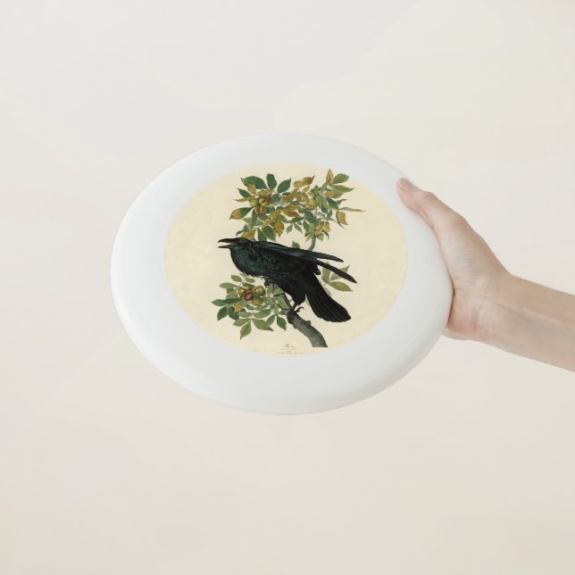 Audubon Raven Bird Classic Artwork Wham-O Frisbee (In Hand)