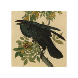 Audubon Raven Bird Classic Artwork Wood Wall Art