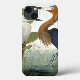 Audubon: Reddish Egret Or Purple Heron iPhone 13 Case