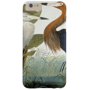 Audubon: Reddish Egret Or Purple Heron Barely There iPhone 6 Plus Case