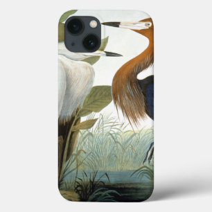 Audubon: Reddish Egret Or Purple Heron iPhone 13 Case
