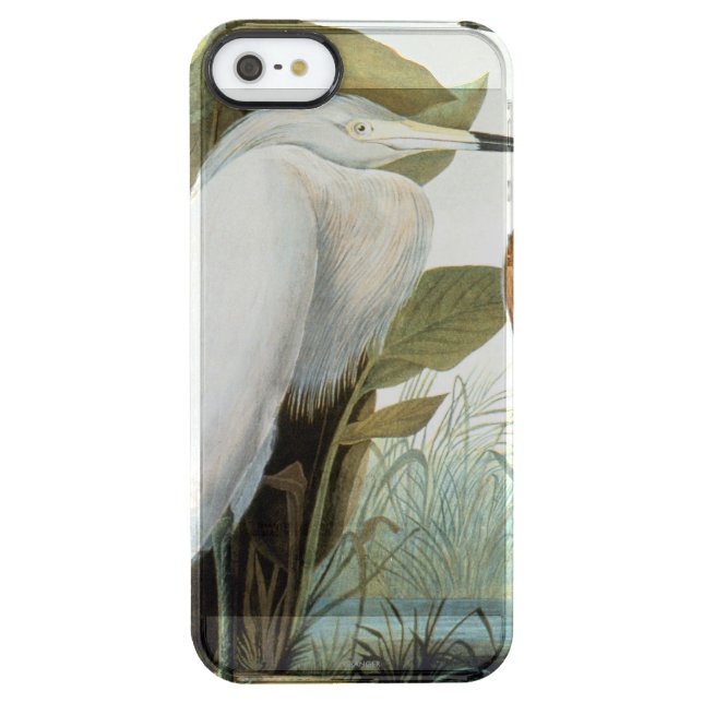 Audubon: Reddish Egret Or Purple Heron Uncommon iPhone Case (Back)