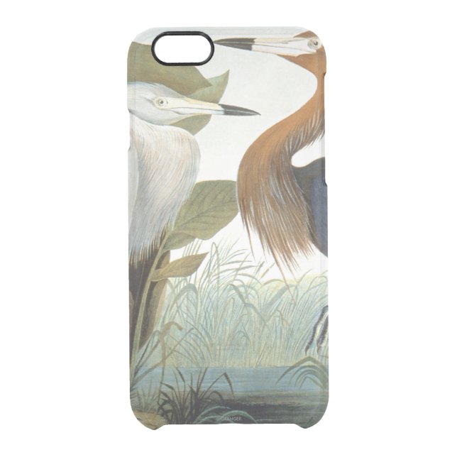 Audubon: Reddish Egret Or Purple Heron Uncommon iPhone Case (Back)