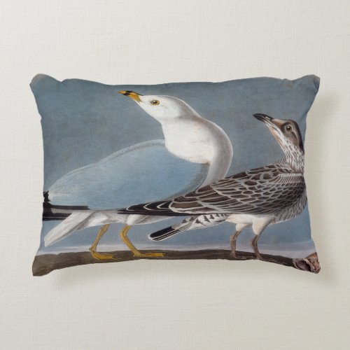 Audubon Ring_Billed Gull Decorative Pillow