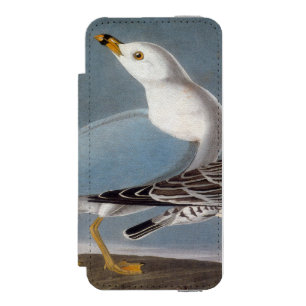 Audubon: Ring-Billed Gull iPhone SE/5/5s Wallet Case