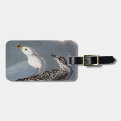 Audubon Ring_Billed Gull Luggage Tag