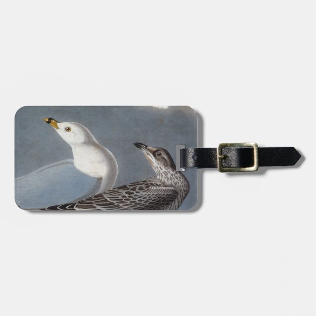 Audubon: Ring-Billed Gull Luggage Tag (Front Horizontal)