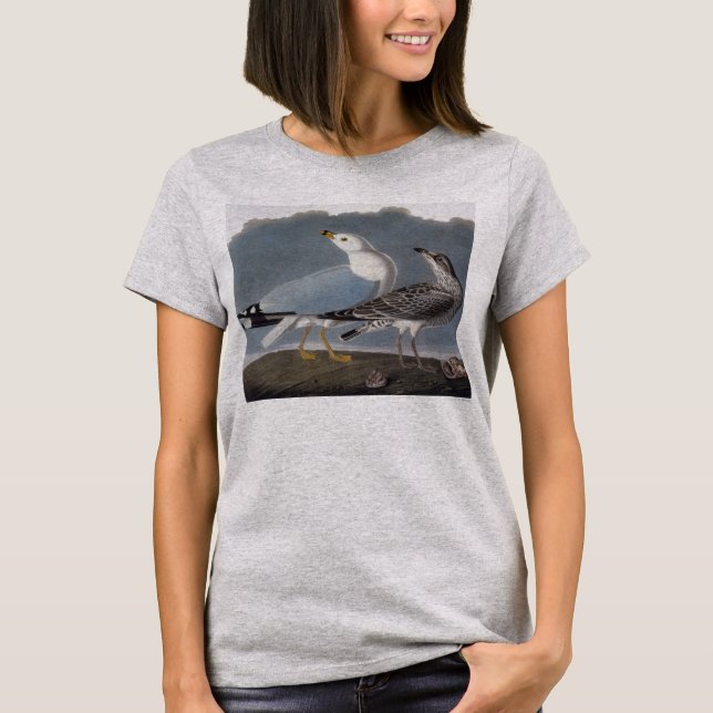 Audubon: Ring-Billed Gull T-Shirt (Front)