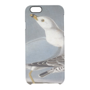 Audubon: Ring-Billed Gull Clear iPhone 6/6S Case