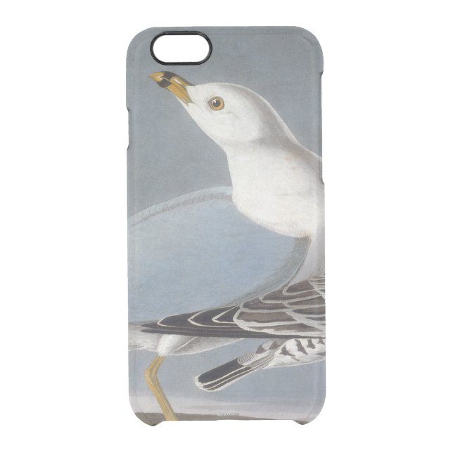 Audubon: Ring-Billed Gull Uncommon iPhone Case (Back)