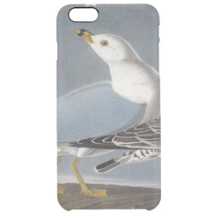 Audubon: Ring-Billed Gull Clear iPhone 6 Plus Case