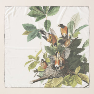 Audubon Robin Birds Wildlife Nests Chiffon Scarf