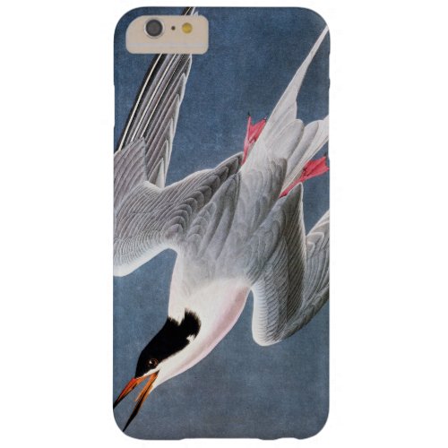 Audubon Roseate Tern Barely There iPhone 6 Plus Case