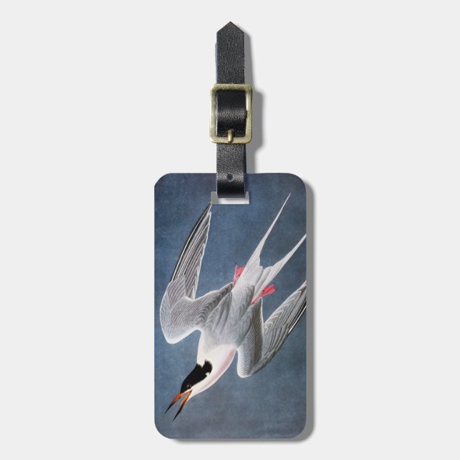 Audubon: Roseate Tern Luggage Tag (Front Vertical)