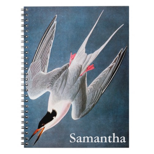 Audubon Roseate Tern Notebook