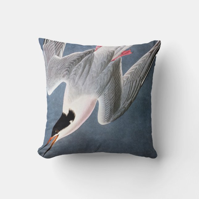 Audubon: Roseate Tern Throw Pillow (Front)