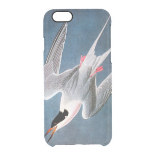 Audubon: Roseate Tern Clear iPhone 6/6S Case