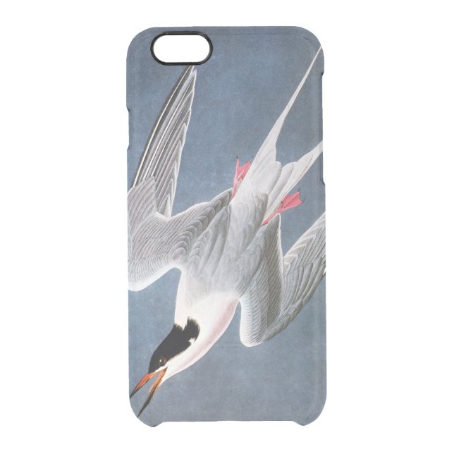 Audubon: Roseate Tern Uncommon iPhone Case (Back)