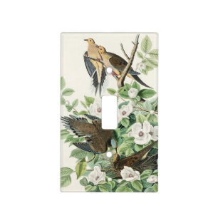 Audubon’s Morning Dove Carolina Pigeon Painting Light Switch Cover