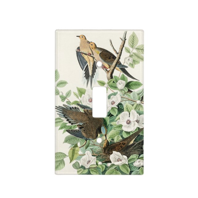 Audubon’s Morning Dove Carolina Pigeon Painting Light Switch Cover (Front)