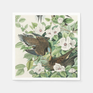 Audubon’s Morning Dove Carolina Pigeon Painting Napkins