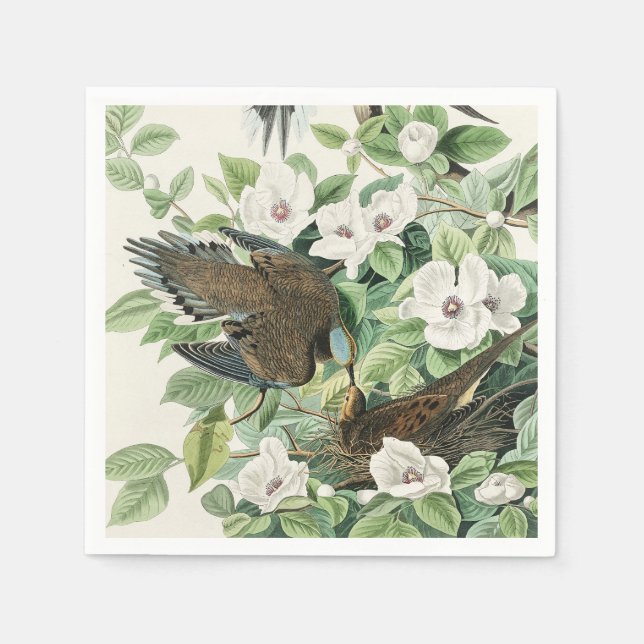 Audubon’s Morning Dove Carolina Pigeon Painting Napkins (Front)