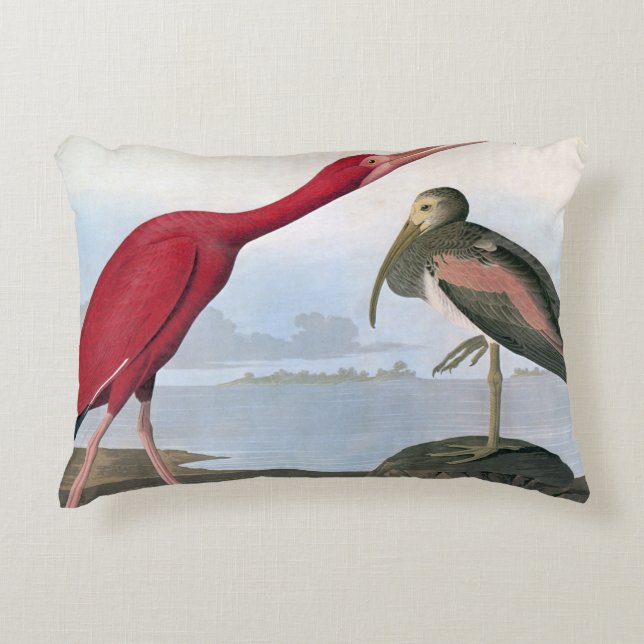 Audubon: Scarlet Ibis Decorative Pillow (Front)