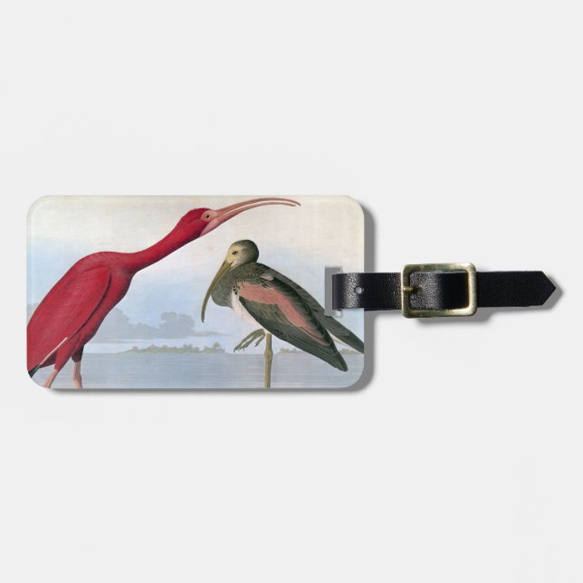 Audubon: Scarlet Ibis Luggage Tag (Front Horizontal)