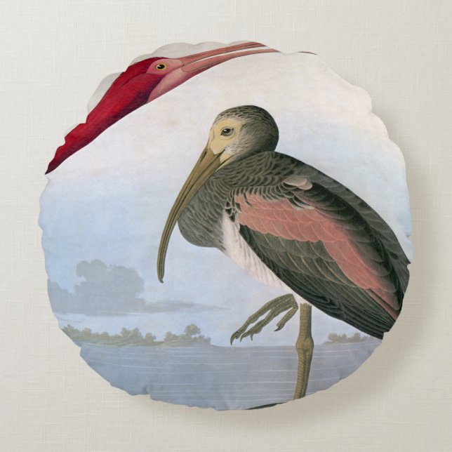 Audubon: Scarlet Ibis Round Pillow (Front)