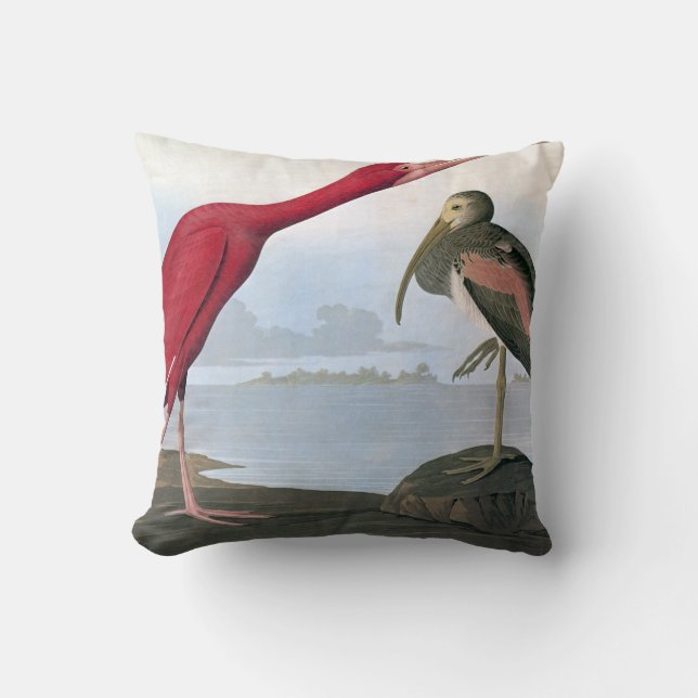 Audubon: Scarlet Ibis Throw Pillow (Front)