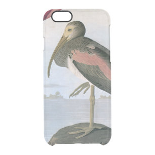 Audubon: Scarlet Ibis Clear iPhone 6/6S Case