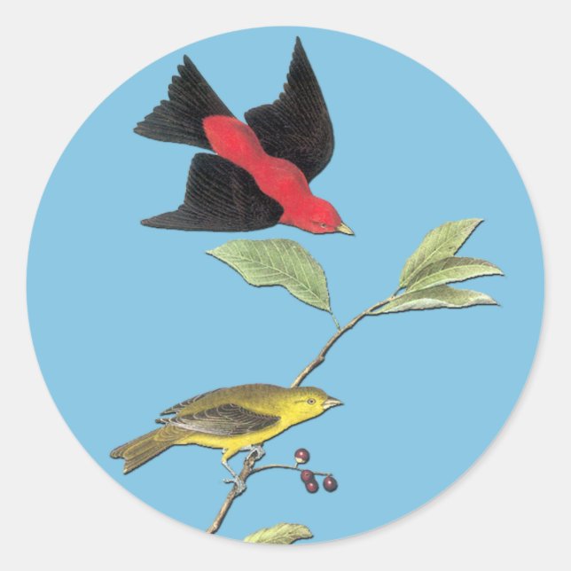 Audubon Scarlet Tanager Bird Art Stickers (Front)