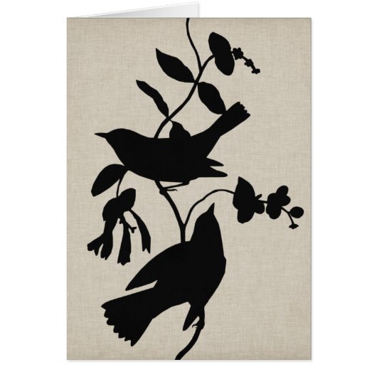 Audubon Silhouette IV Cards (Front)