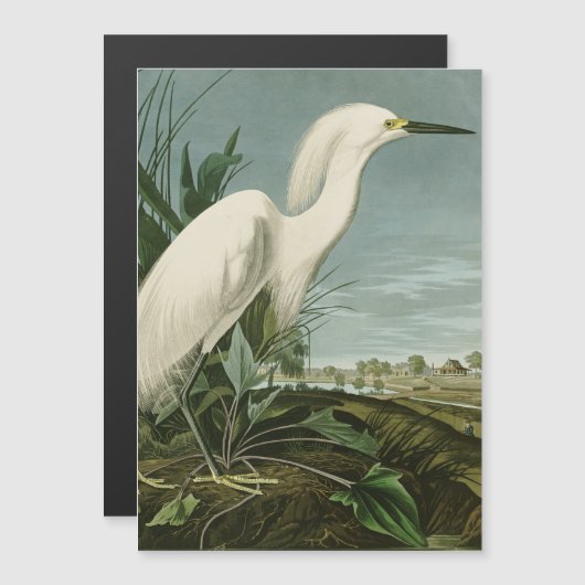 Audubon Snowy Heron White Egret Bird Birding (Front/Back)