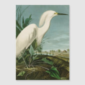 Audubon Snowy Heron White Egret Bird Birding (Front)