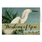 Audubon Snowy Heron White Egret Bird Birding (Front Horizontal)