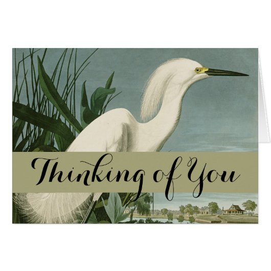Audubon Snowy Heron White Egret Bird Birding (Front Horizontal)