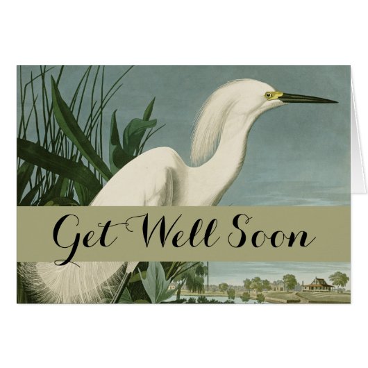 Audubon Snowy Heron White Egret Bird Birding (Front Horizontal)