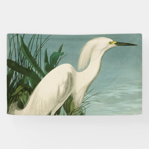 Audubon Snowy Heron White Egret Bird Birding Banner