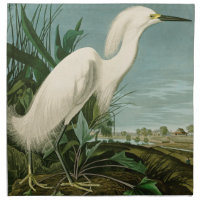 Audubon Snowy Heron White Egret Bird Birding