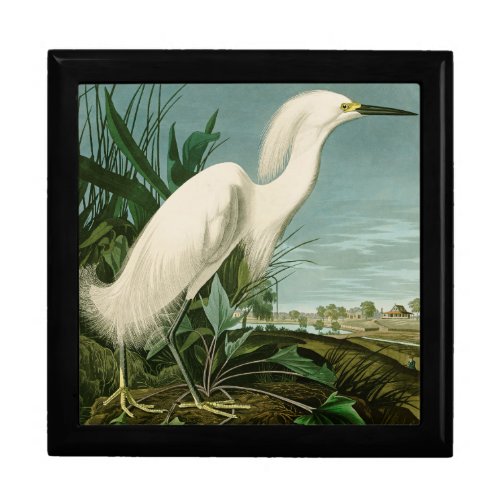 Audubon Snowy Heron White Egret Bird Birding Gift Box