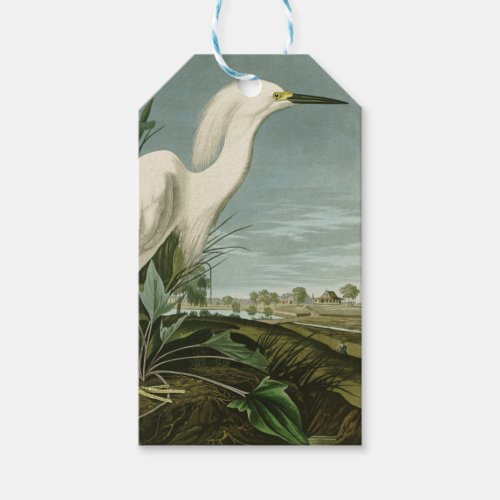 Audubon Snowy Heron White Egret Bird Birding Gift Tags